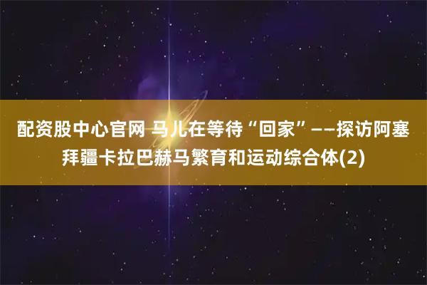 配资股中心官网 马儿在等待“回家”——探访阿塞拜疆卡拉巴赫马繁育和运动综合体(2)